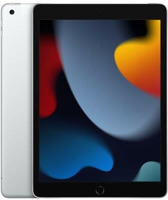 Apple iPad 64GB Wi-Fi + Cellular Srebrny (MK493FDA)
