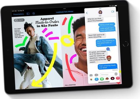 Amazon.com : Apple iPad Pro 9.7 256GB Storage, WiFi +