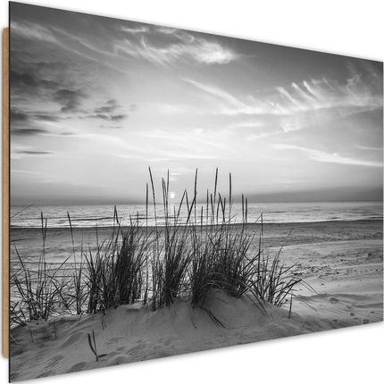 Caro Deco Panel Trawy Na Plaży 2 60X40 Cm p1241475088