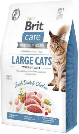 Brit Care Cat Grain Free Large Cats Power&Vitality 2x2Kg