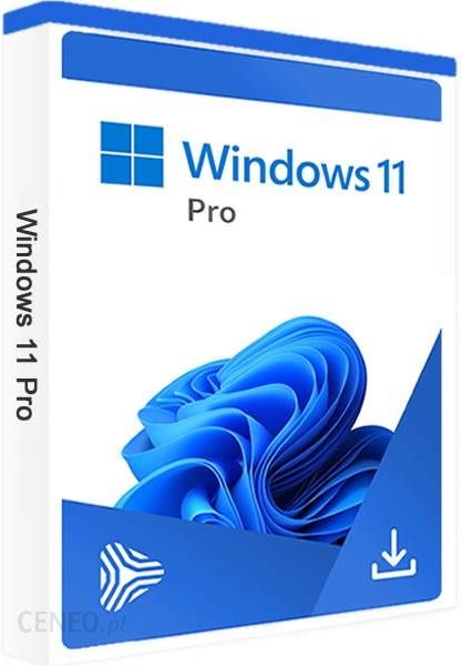Microsoft Windows 11 Professional 32/64 BiT 