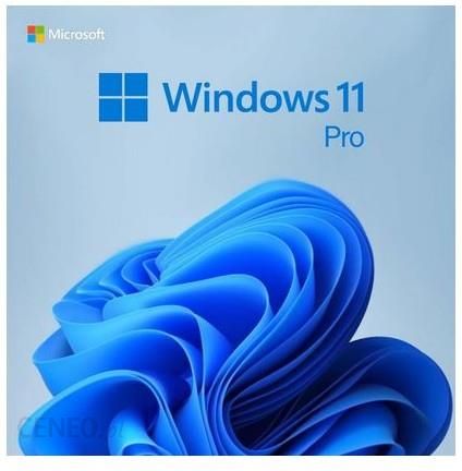 Microsoft Windows 11 Professional 32/64 BiT 