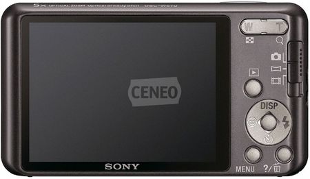 Aparat cyfrowy Sony Cyber-shot DSC-W570 srebrny - Ceny i opinie na