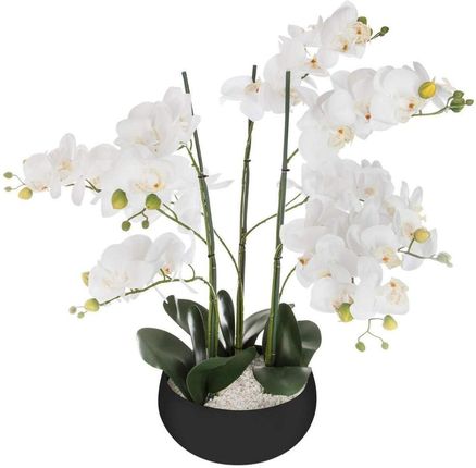 Atmosphera Sztuczna Roślina Orchidee Czarna 65cm