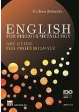 Zdjęcie English for ferrous metallurgy - Czeladź