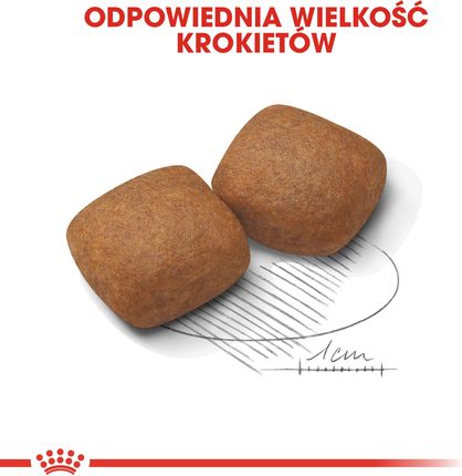 Karma Royal Canin Giant Junior 15kg - Ceny i opinie - Ceneo.pl