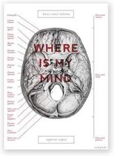 Zdjęcie Marta Pawelec Plakat Anatomiczny Czaszka Where Is My Mind - Maków Podhalański