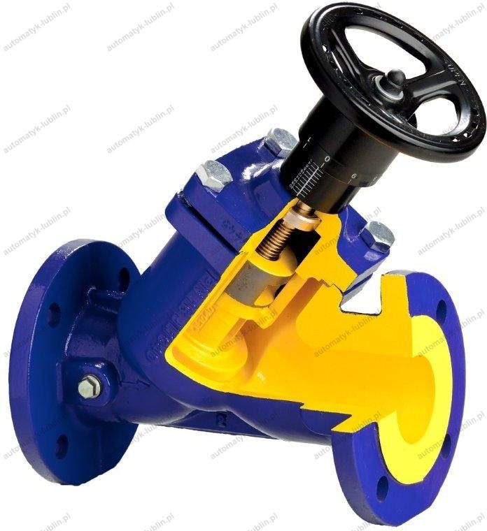 Zawor zETKAMA zAWOR ROWNOW.DN80 FI G.445 447A080C72 - Opinie i ceny na ...