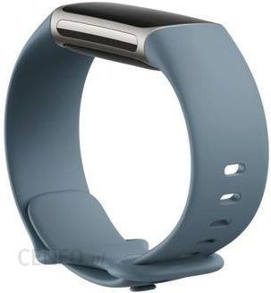 FITBIT Charge 5 Steel Blue Platinum Stainless Steel