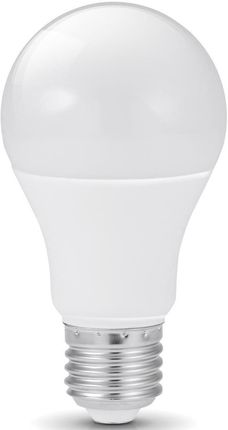Eco Light LED E27 20W (180W) 1800lm 180° barwa zimna 6500K (EC79845)