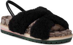 Sandały COACH - Tally Shearlg Sandal C5885 11002151EDC Black Blk - Ceny i  opinie 