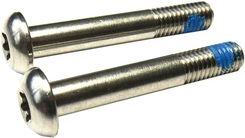 Zdjęcie Sram Mounting Bolts For Flat Mount Disc Brake Caliper Titanium T25 17Mm 2021 - Łomża
