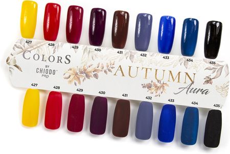 ChiodoPRO Wzornik kolorów Colors - Autumn Aura
