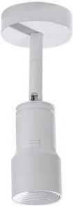 Azzardo plafon (reflektorek) LED Lumi 5W 3000K biały AZ4556