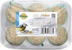 Zdjęcie Zimowy pokarm dla sikorek kule 600g 6 szt - Konstantynów Łódzki