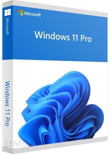 Windows 11 Professional ESD