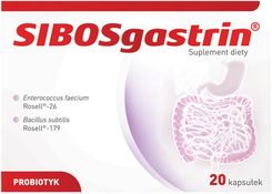 Zdjęcie Polfa Sibosgastrin 20kaps. - Drezdenko