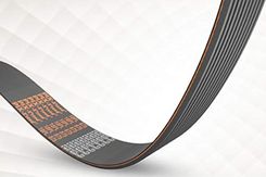 Zdjęcie Pix X Ceed Pas Wielorowkowy 559 Pj 7 4469 - Nowy Targ