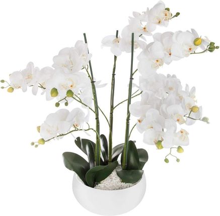 Holandia vidaXL Sztuczna Roślina Orchidee Biała Doniczka 65Cm 47169