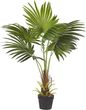 Beliani Sztuczna roślina palma zielona czarna doniczka tworzywo sztuczne 100 cm Fan Palm