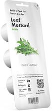 Zdjęcie Click&Grow Kapsułki z nasionami Smart Soil Rukola 3pak - Turek
