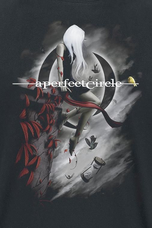 00s a perfect circle グラフィックTシャツ 00s a perfect circle グラフィックTシャツ A Perfect Circle