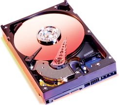 WD 1200JS - 120GB SATA II 7200rpm 8MB cache (WD1200JS)