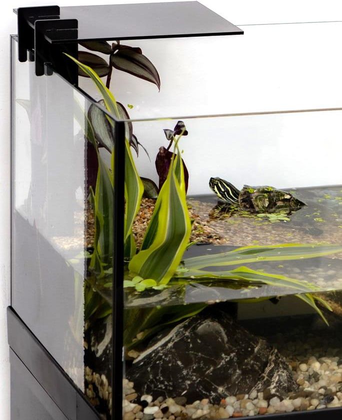 Aquael Aquaterrarium Terrarium Akwarium dla Zwierząt Wodno-Lądowych 80x35x30,5cm - zdjęcie 2 Aquael Aquaterrarium Terrarium Akwarium dla Zwierząt Wodno-Lądowych 80x35x30,5cm
