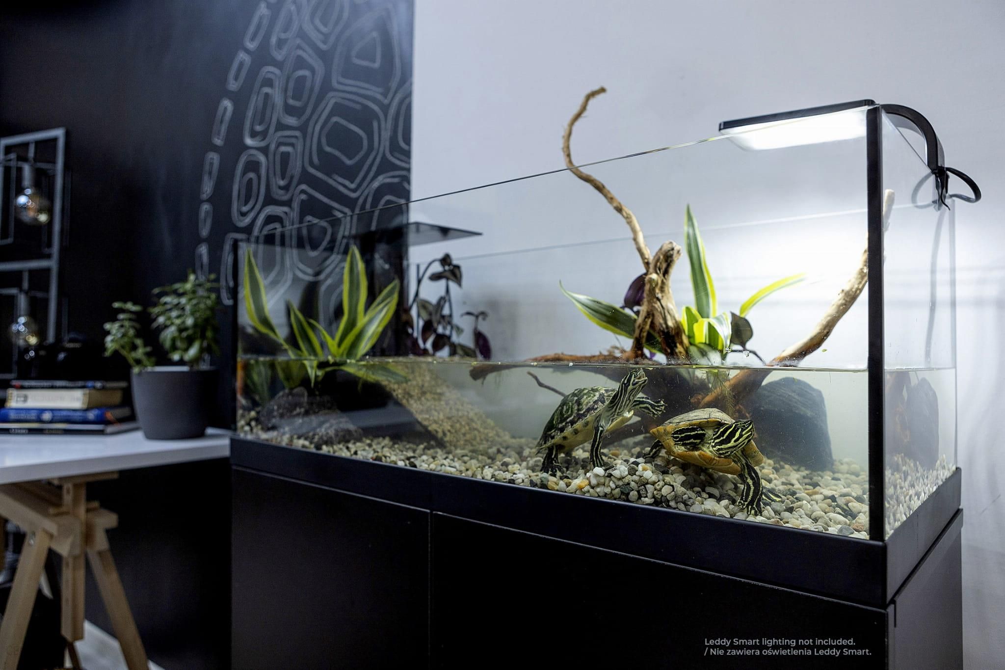 Aquael Aquaterrarium Terrarium Akwarium dla Zwierząt Wodno-Lądowych 80x35x30,5cm