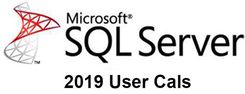 Microsoft SQL Server 2019 Standard + 5 User Cals
