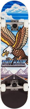 Tony Hawk Signatures Series 180 Outrun