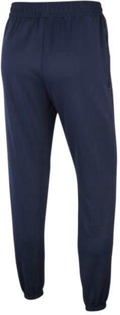 france jordan therma flex showtime