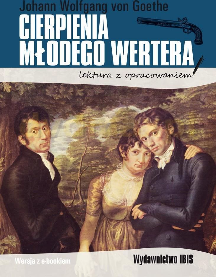 Cierpienia Młodego Wertera Streszczenie Szczegółowe Cierpienia młodego Wertera. Lektura z opracowaniem - Ceny i opinie