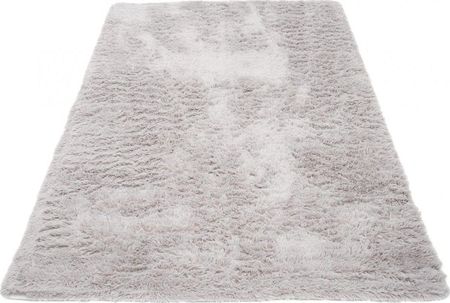 Carpetpol Light Grey Light Grey Silk 200x300