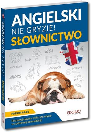 Angielski. Słownictwo. Nie gryzie!