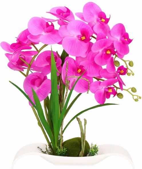 Springos Sztuczny Storczyk W Doniczce 40 Cm Różowy - zdjęcie 2 Springos Sztuczny Storczyk W Doniczce 40 Cm Różowy