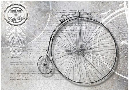 Deconest Fototapeta Vintage Bicycles Bl/White 100x70