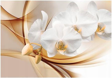 Deconest Fototapeta Kwiat Orchidei 150x105