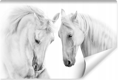Muralo Fototapeta Do Sypialni Konie Zwierzęta 3D 405x270