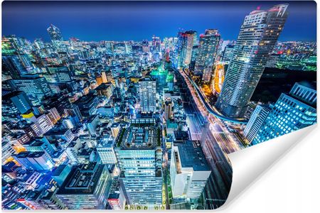 Muralo Fototapeta Do Salonu Tokyo Miasto Nocą 3D 360x240