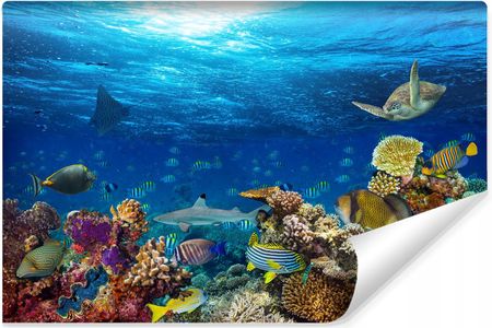 Muralo Fototapeta Młodzieżowa Ocean Rafa Koralowa 360x240