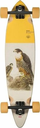 Globe Pintail 34 Falcon