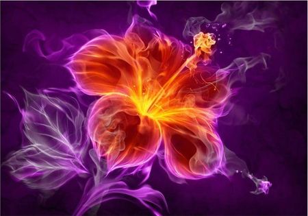 Deconest Fototapeta Ognisty Kwiat W Purpurze 200x140