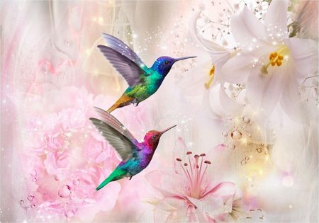 Deconest Fototapeta Kolorowe Kolibry (Różowy) 300x210