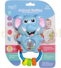 Zdjęcie Swede Grzechotka Słonik - Biłgoraj