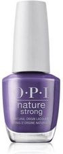 Zdjęcie OPI Nature Strong lakier do paznokci A Great Fig World 15 ml - Łódź