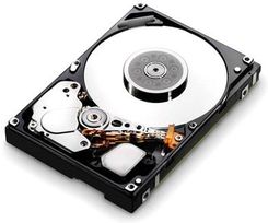 IBM 600GB 2.5in 10K 6Gb SAS (49Y2048)
