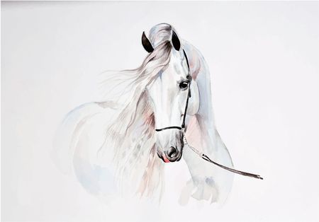 Wallarena Fototapeta Z Koniem Koń Białe Konie Salon 254x184