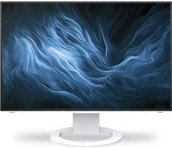 EIZO FlexScan 24,1