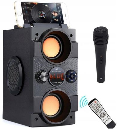 Feegar DANCE Przenośny Głośnik Bluetooth Radio USB SD AUX REC 4000mAh + MIKROFON